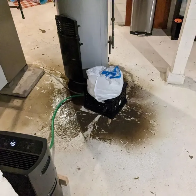 Sewage Backup Cleanup Service in Rehobeth, AL